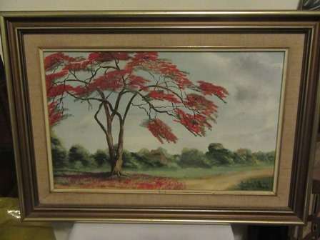 Painting By Rhodeasian Artist Sheila McRoberts "Flamboyant Trees Rhodesia" C1970