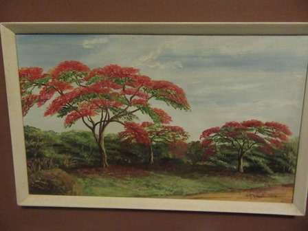 Painting By Rhodeasian Artist Sheila McRoberts of a Row of Flamboyant Trees 1978