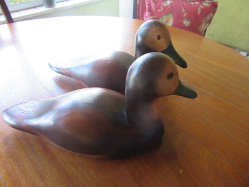 Limited Collection Pair of  Large White Faced Whistling Ducks by Feathers of Knysna