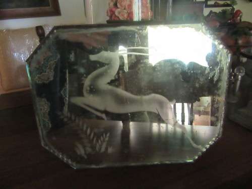 Vintage Springbok Mirror With Bevelled Edge