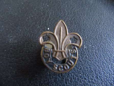 Vintage Boy Scouts Badge