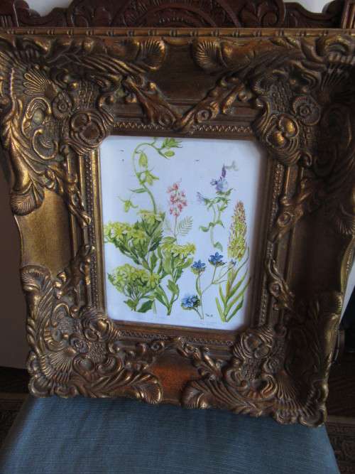 Beautiful Ornate Gold Frame with Botanical Print