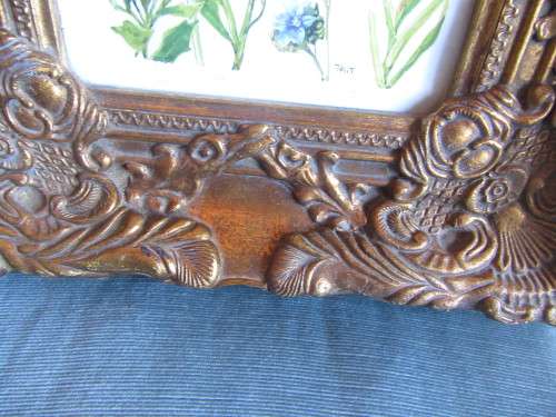 Beautiful Ornate Gold Frame with Botanical Print