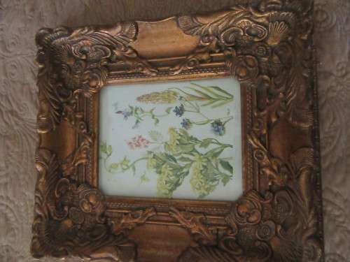 Beautiful Ornate Gold Frame with Botanical Print