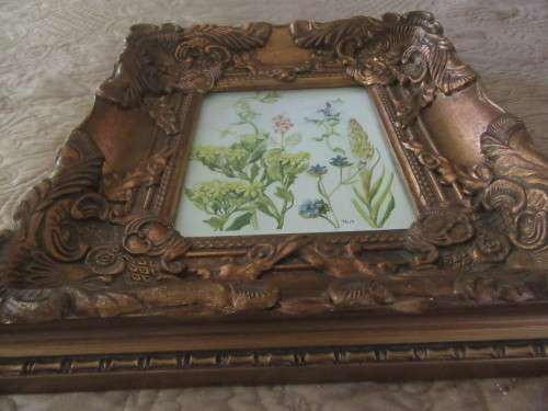 Beautiful Ornate Gold Frame with Botanical Print