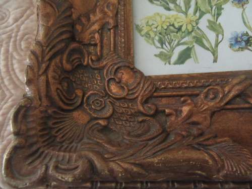 Beautiful Ornate Gold Frame with Botanical Print