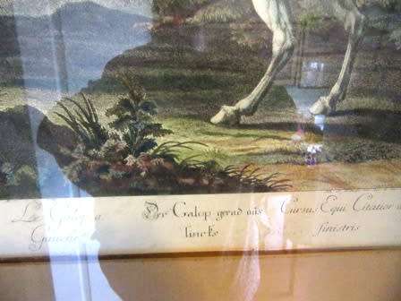 19 Centuary French School  Le Galop Au Gauch Engraving