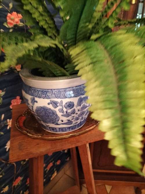 Blue & White Planter