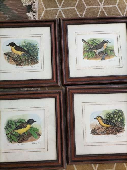 Set of 4 Framed Watercolor paintings of Robin Birds