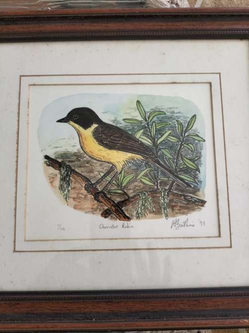 Set of 4 Framed Watercolor paintings of Robin Birds