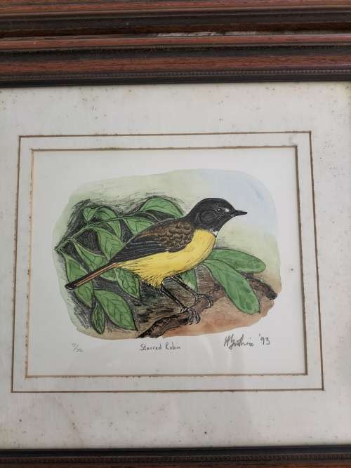 Set of 4 Framed Watercolor paintings of Robin Birds