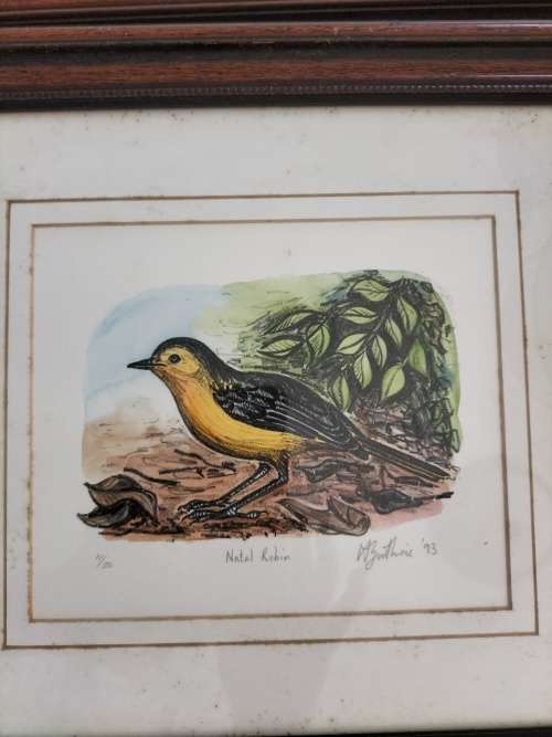 Set of 4 Framed Watercolor paintings of Robin Birds