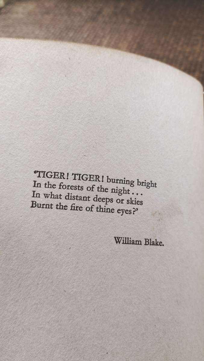 First Edition Wilbur Smith  - The Eye Of The Tiger