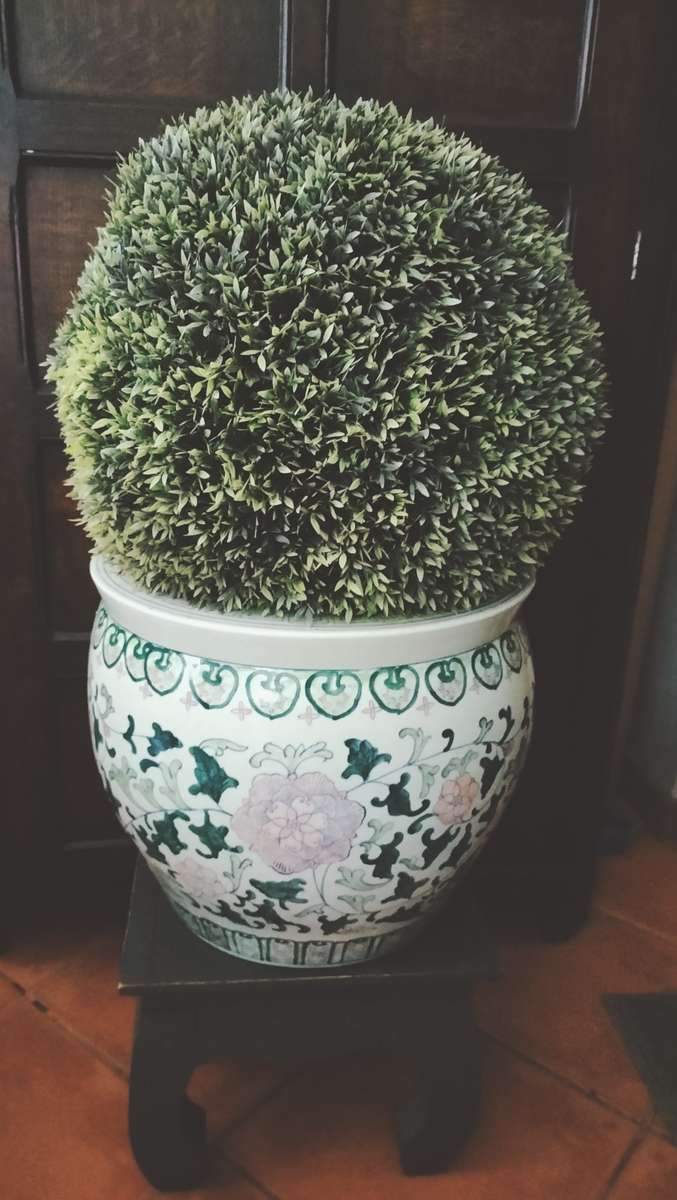 Large Chinese Jardiniere or Fish Bowl withStand