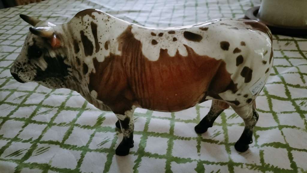 cheval Nguni Bull