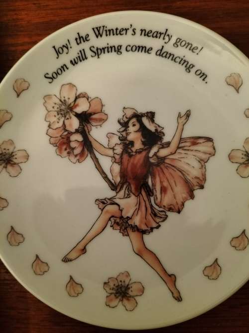 Set of 3 Flower Fairies Plate by Vicky Mary Barker