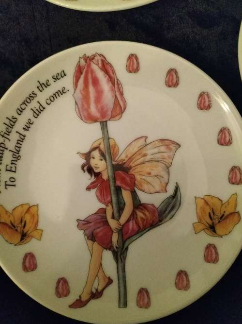 Set of 3 Flower Fairies Plate by Cicily Mary Barker