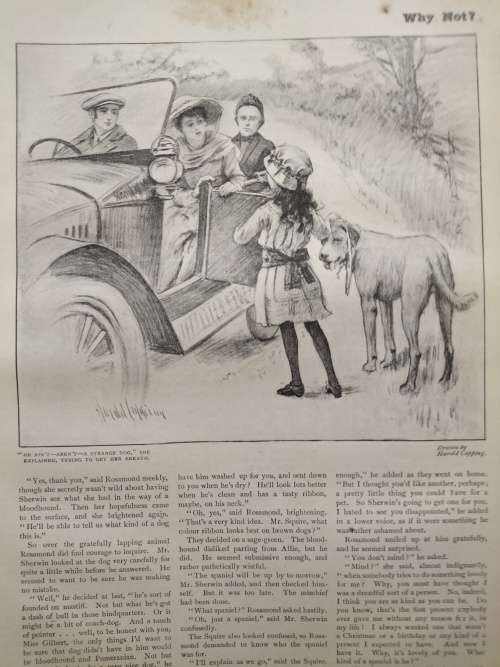 Girls Own Annual Vol 37 C 1917