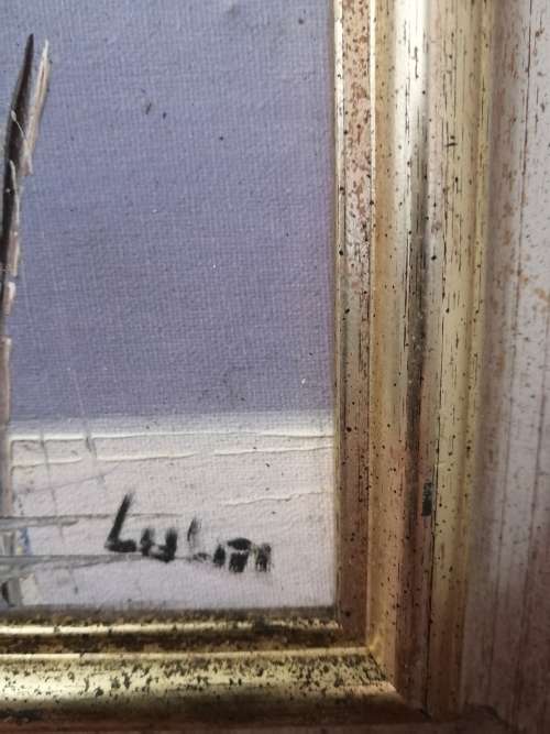 Pair of Paintings by Luini