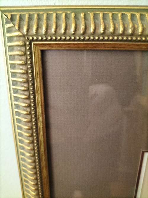 Pair of Framed Embroidery Panels of Birds and Flowers