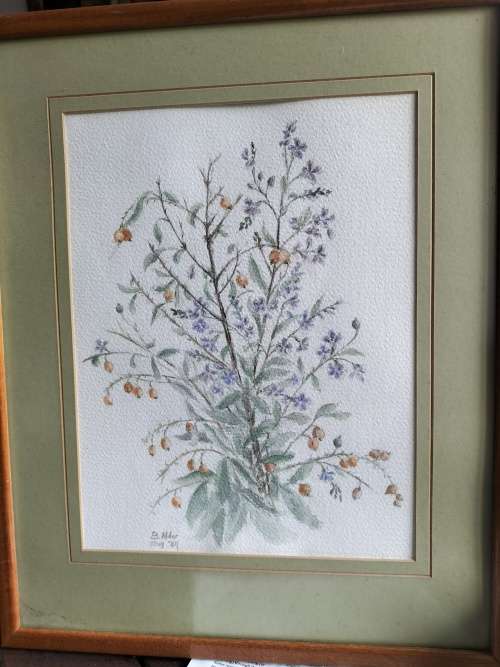 Watercolor Flower Painting Framed By B Alder
