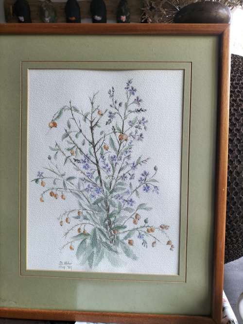 Watercolor Flower Painting Framed By B Alder
