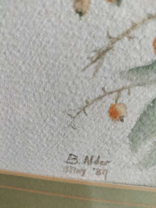 Watercolor Flower Painting Framed By B Alder