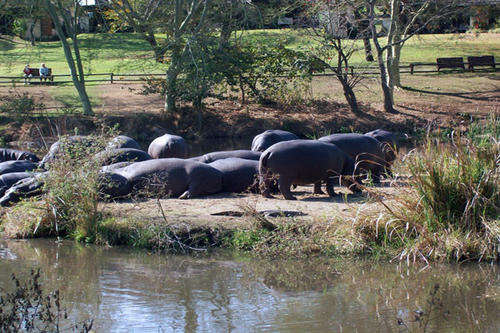 Midweek @ Sabie River  Sun from 28 Jan - 01 Feb 2013 (4 Nights) 2 Bedrooms/sleeps 6