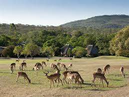 Midweek @ Kruger Park Lodge, Hazyview from 26 - 30 May 2025 (4 Nights)2 Bedroom/sleeps 6