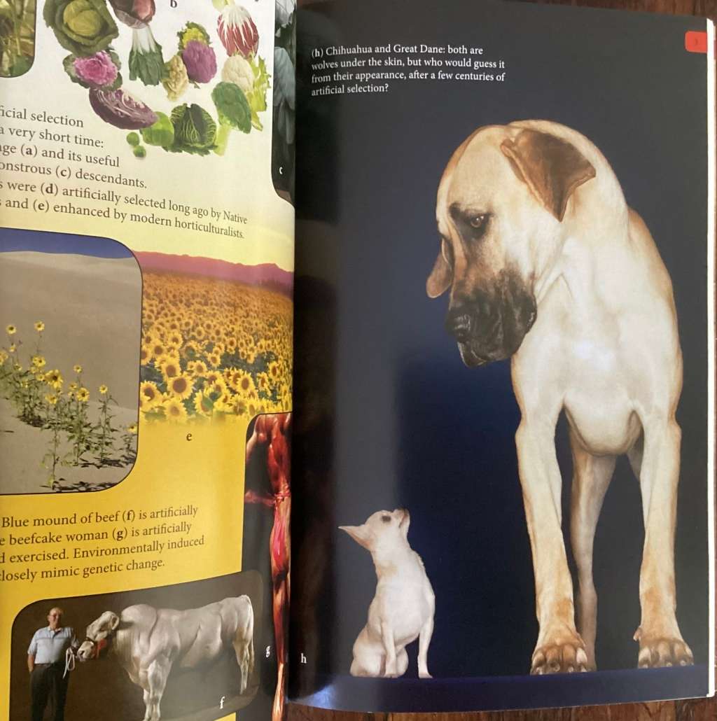 The Greatest Show On Earth. Hardback by Richard Dawkins.