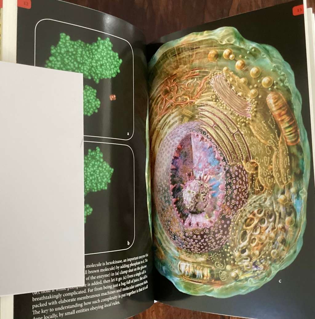 The Greatest Show On Earth. Hardback by Richard Dawkins.