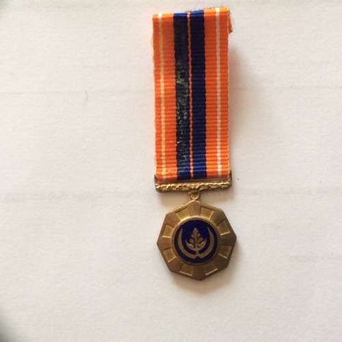 Pro patria enamel miniature