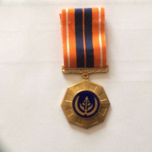 Pro patria medal