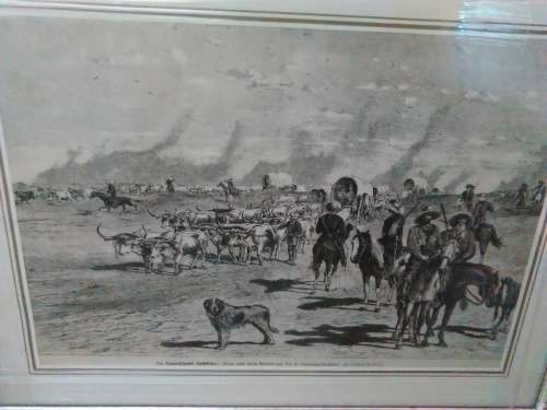 Boers met deres (Drawing by Albert Richter)