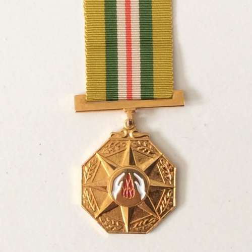 SA railways police medal