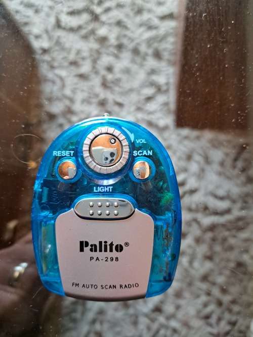 Portable Radio phones FM Radio