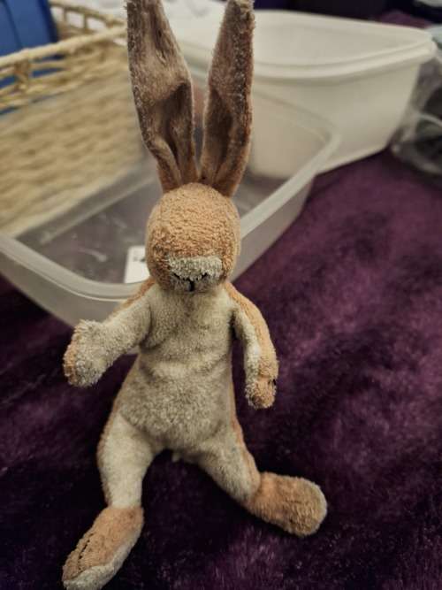 TOYS AND HOBBIES Peter the Rabit Kids teddy