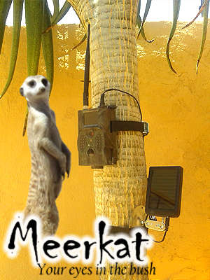 Motion sensor wildlife trail camera with solar power pack