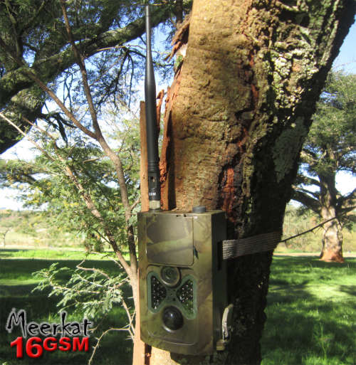 Trail camera - 16 Megapixel GSM enabled