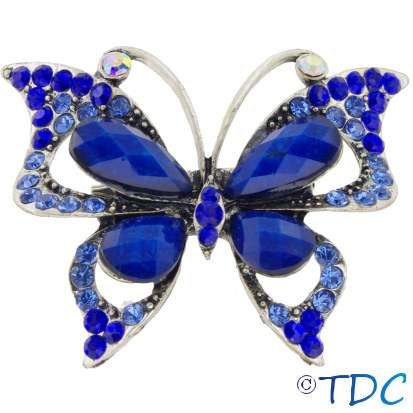 Bold Butterfly Brooch (Blue)