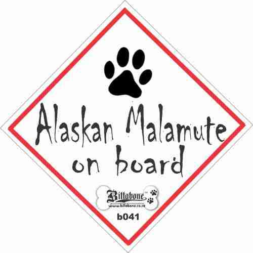Alaskan Malamute on Board