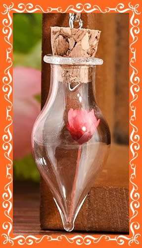 Unique red dried flower inside glass pendant