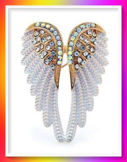 Wonderful Wing Design Brooch