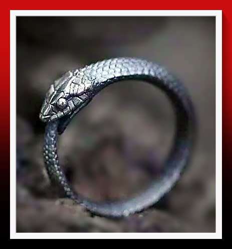 Stunning Snake Design Ring 17mm