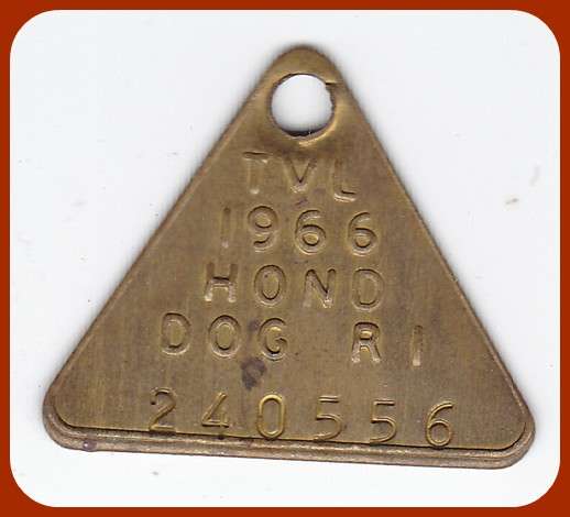 TRANSVAAL DOG LICENCE - 1966 -  ONE RAND - R1
