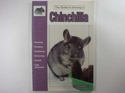 The Guide to Owning a Chinchilla - Anmarie Barrie