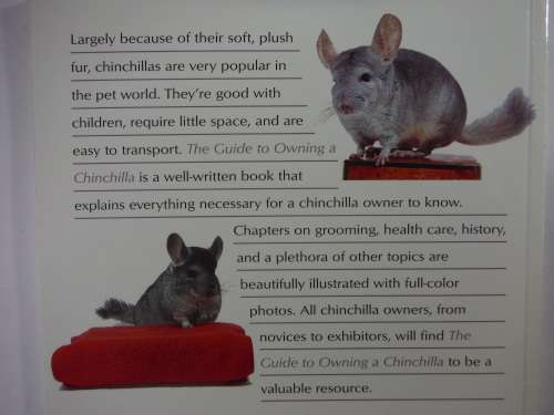 The Guide to Owning a Chinchilla - Anmarie Barrie
