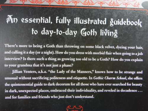 Gothic Book Bundle : Vampire Academy - Vamps - Gothic Charm School