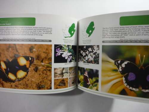 There's a Butterfly in My Garden:How to Make Butterflies Feel at Home in Your Garden-Lieveke Noyons