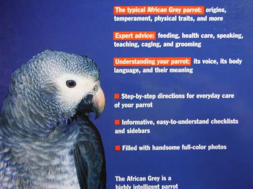 African Grey Parrots : A Complete Pet Owner's Manual - Maggie Wright